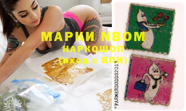 дмт Зеленодольск