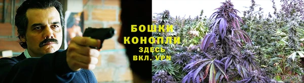 дмт Зеленодольск