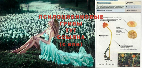 COCAINE Зеленокумск