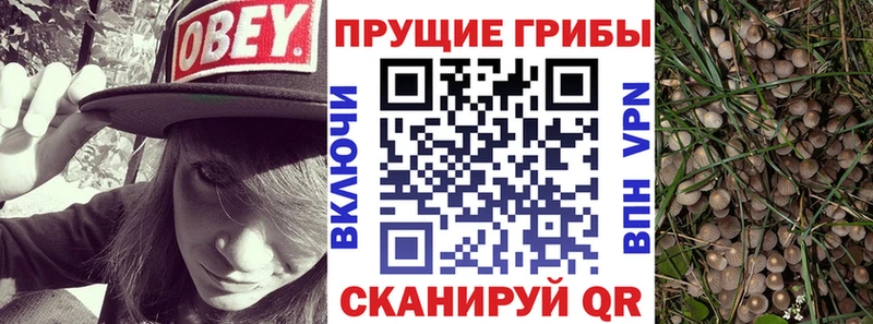 Псилоцибиновые грибы Magic Shrooms  Купить  Заринск 